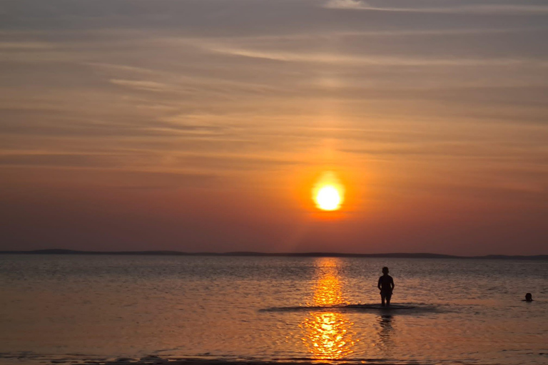 Doha: Full Day Desert Safari, BBQ Dinner, and Stargazing