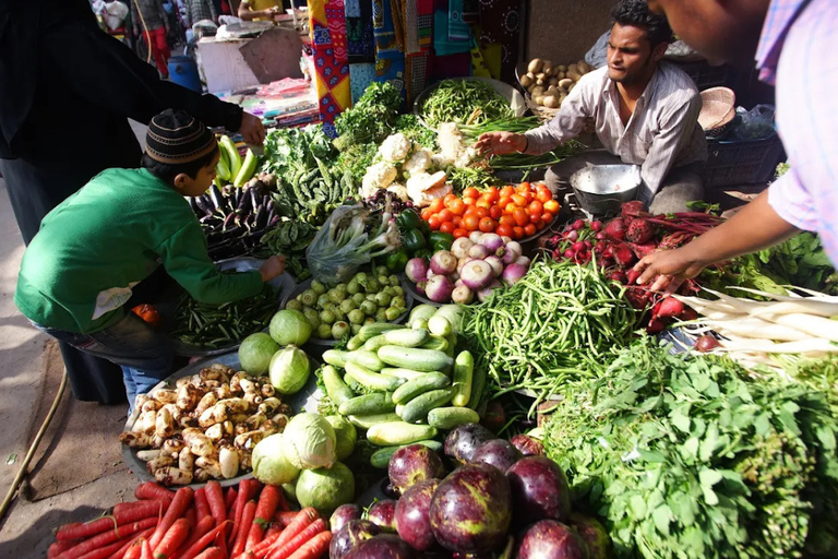 Nueva Delhi: Fuerte Rojo, Jama Masjid y Chandni Chowk con almuerzoTour por el Fuerte Rojo, Jama Masjid y Chandni Chowk