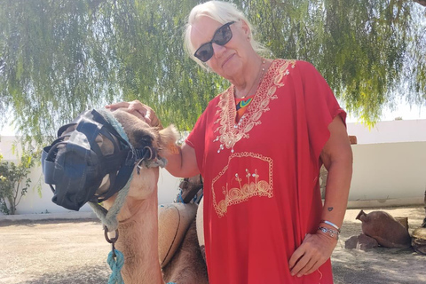 Hammamet: Dromedary and horse-drawn carriage ride with olive oil tasting Hammamet: Dromedary Ride and Carriage Ride with Olive Oil Food Tasting