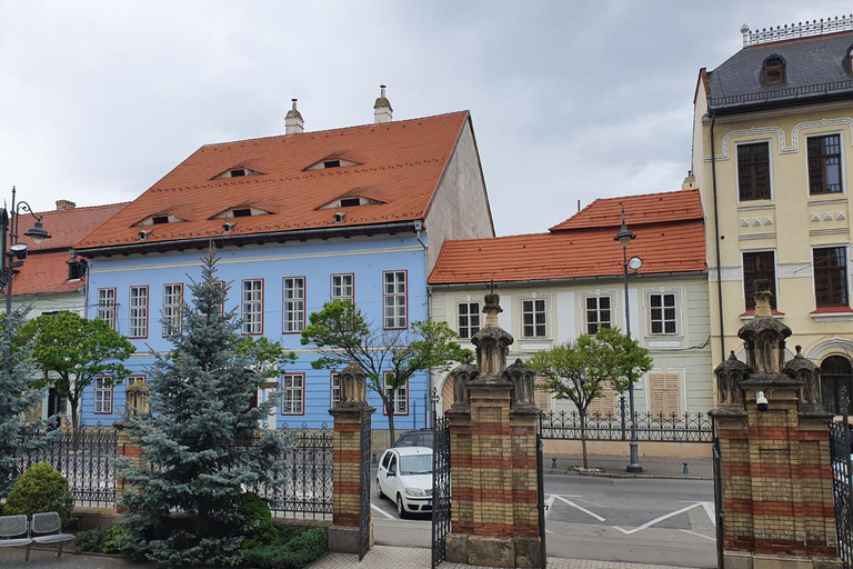 De Bucarest: excursion privée d'une journée à Sibiu