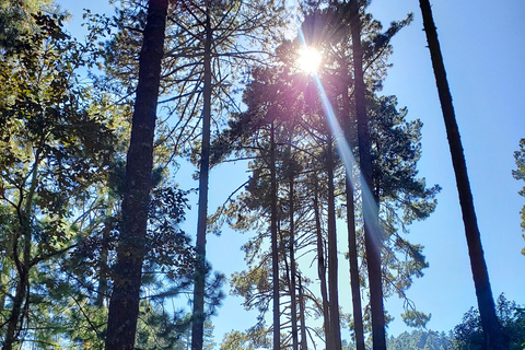 Oaxaca: Sierra Norte Ixtepeji Guided Hike & Lunch, Half-Day