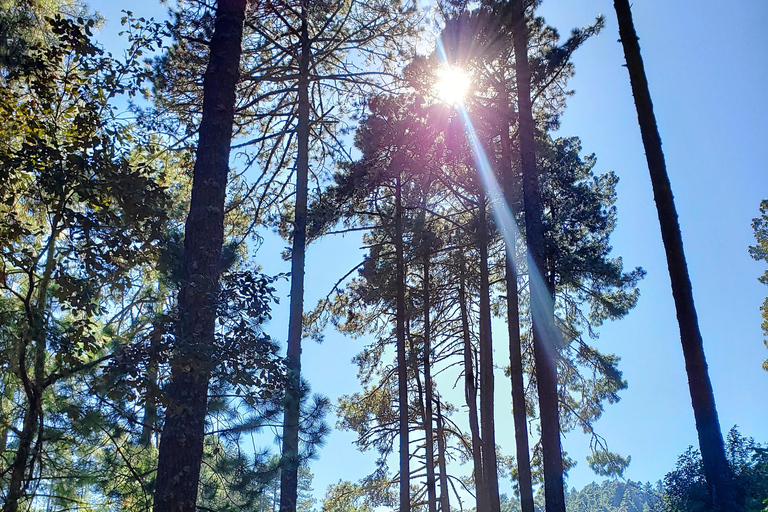 Oaxaca: Sierra Norte Ixtepeji Guided Hike & Lunch, Half-Day