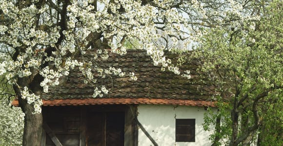 Novigrad Podravski: Weinberg-Rundgang in Podravina