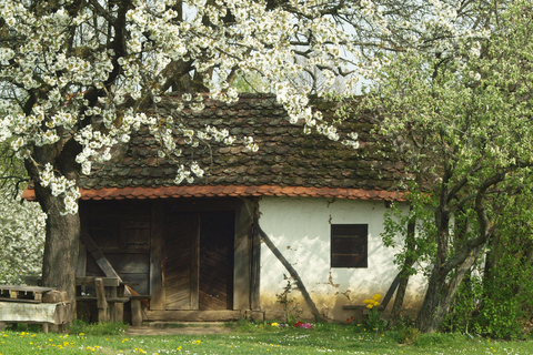 Novigrad Podravski: Vineyard Walking Tour in Podravina