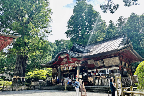 From Tokyo: Mt. Fuji or Hakone Private Sightseeing Day Trip Itinerary A: Mount Fuji