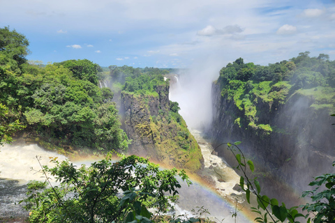Victoria Falls Zimbabwe: Mosi-oa-Tunya Walk with Local Guide
