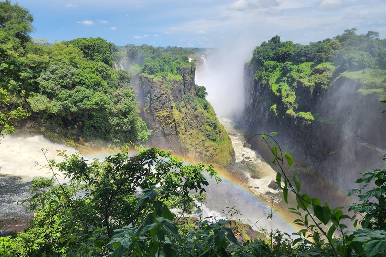 Victoria Falls Zimbabwe: Mosi-oa-Tunya Walk with Local Guide