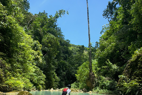 Cebu: Whale Shark Swimming and Kawasan Falls Canyoneering