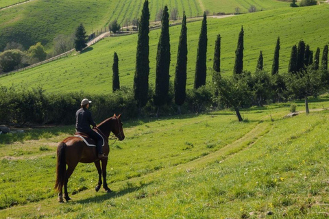Tuscany Horseback Ride, Lunch, & Wine - Small Group From San Gimignano