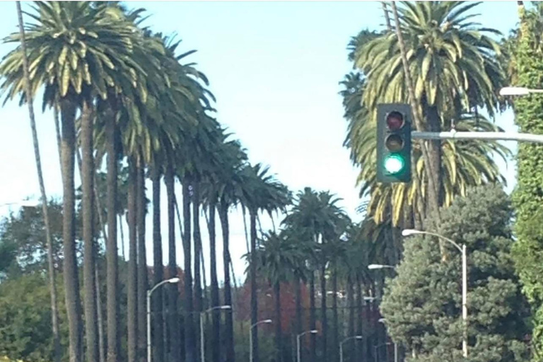 Los Angeles : Visite du panneau Hollywood et des maisons des célébrités