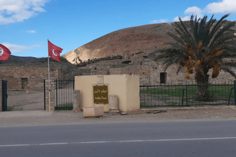 Tunis/Hammamet: Testour, Dougga, Bulla Regia, Beja with Lunch Included Driver only (without live guide or meals)