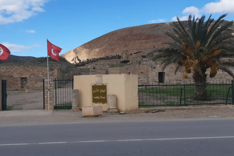 Tunis/Hammamet: Testour, Dougga, Bulla Regia, Beja with Lunch Included Driver only (without live guide or meals)