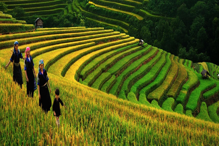 Hanoi: Sapa 3-Day Fansipan, Glassbridge, Cat Cat & Moana Half Day Glassbridge & Silver Waterfall From Sapa Town