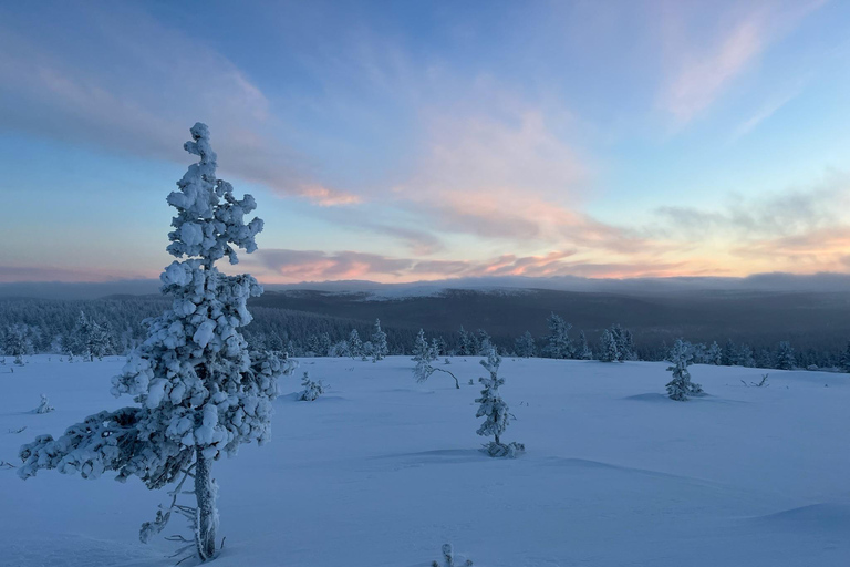 Saariselkä: Private UKK Park Snowshoe Walk & Cowboy Coffee