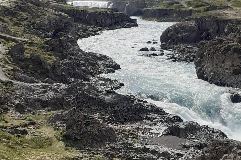 Au départ d&#039;Akureyri : visite des chutes d&#039;eau de Goðafoss et de la lagune forestière