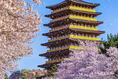 De Busan: Excursão de um dia às cerejeiras em flor de Gyeongju Especial de primavera