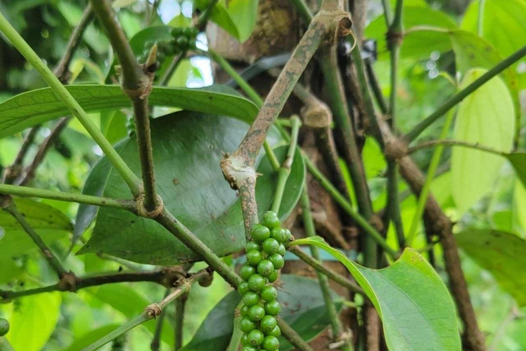 Spice Farm, Stone Town, Prison & Nakupenda+pick up+entry fee