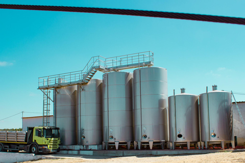 Évora: Jeep Vineyards Tour with Regional Wine & Food Tasting