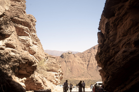 Cafayate: Tour de dia completo por bodegas y degustacion de vinos
