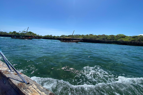 Sansibar: Safari Blue Tagesausflug mit Schnorcheln und Mittagessen