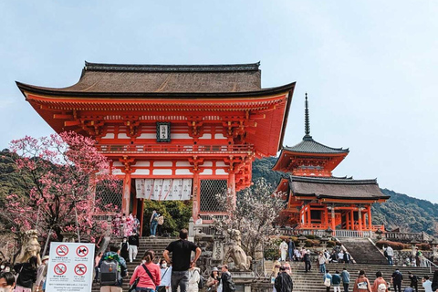 Kyoto/Osaka: Gita di un giorno a Kyoto e Nara, siti e storia