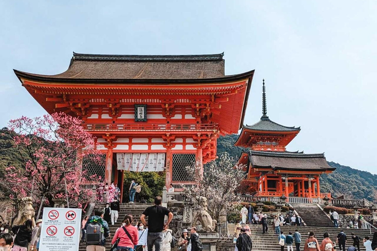 Kioto/Osaka: excursión de un día a los lugares de interés histórico de Kioto y Nara