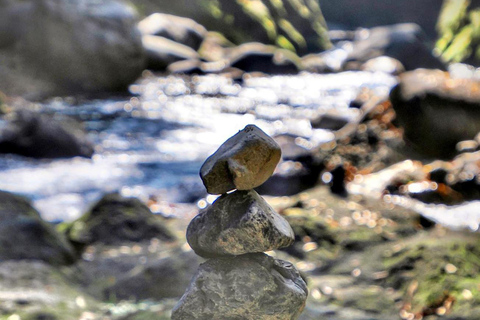 Fukuoka: Takachiho Gorge & Scenic Railway One Day Tour Limited-Time One-Day Tour (Excluding Admission Fees)