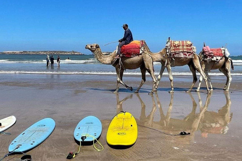 Da Casablanca: tour guidato di Tangeri con treno ad alta velocità