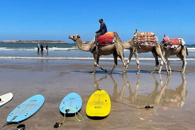 Vanuit Casablanca: Rondleiding in Tanger per hogesnelheidstrein