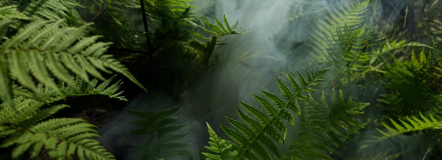 Expédition de 2 jours au départ de Bukit Lawang : Connectez-vous avec la nature