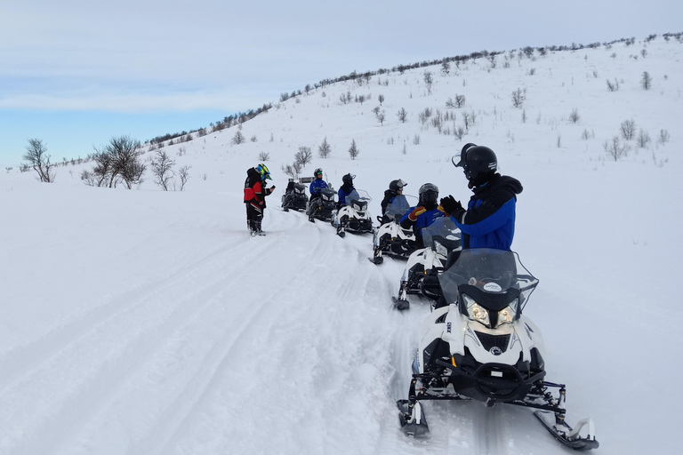 Saariselka: Snowmobile Safari on Tundra