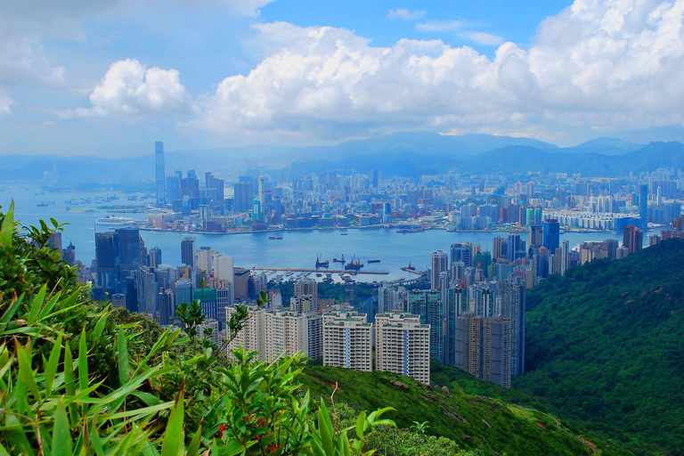Hong Kong Must-See attractions Walking Tour With A Guide 3 Hours Small Group Tour