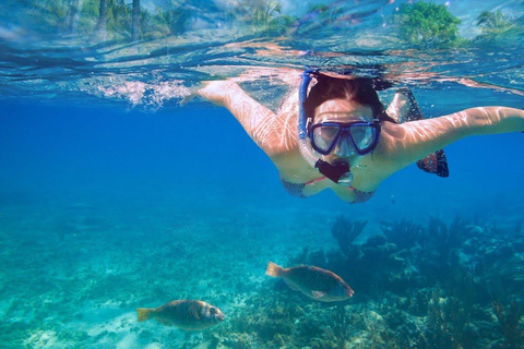 Gozo Kayak Tours
