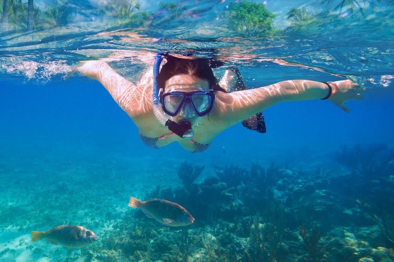 Gozo Kayak Tours