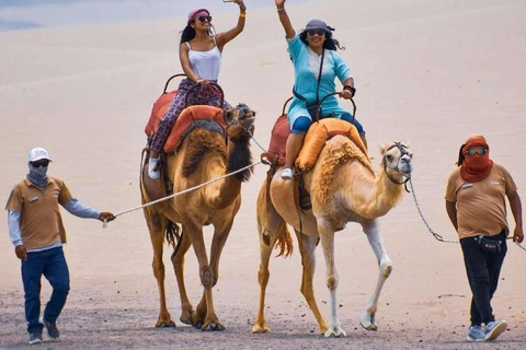 Aventura de camelo no deserto peruano