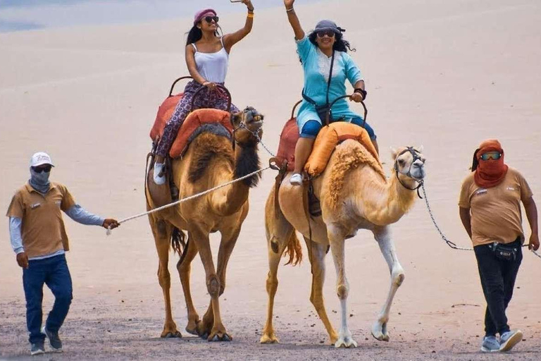 Camel Adventure in the Peruvian Desert