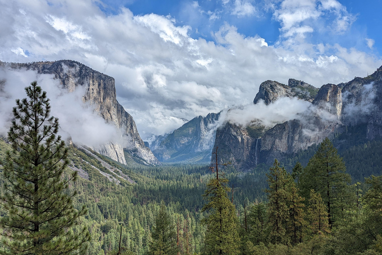 Yosemite National Park Tour with Optional Alcatraz Visit Yosemite National Park 1-Day Bus Tour with Alcatraz Visit