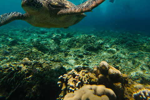 Gili Trawangan : excursion à vélo avec plongée en apnée et point de vueGili Trawangan : circuit à vélo avec plongée avec tuba et point de vue