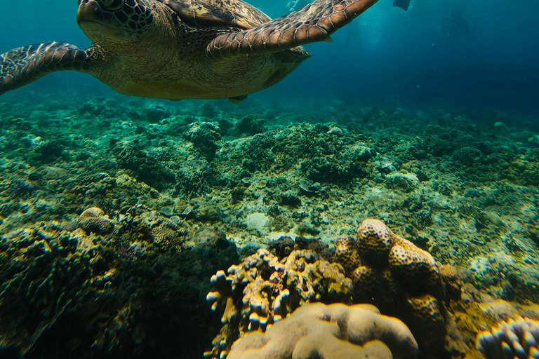 Gili Trawangan : excursion à vélo avec plongée en apnée et point de vueGili Trawangan : circuit à vélo avec plongée avec tuba et point de vue