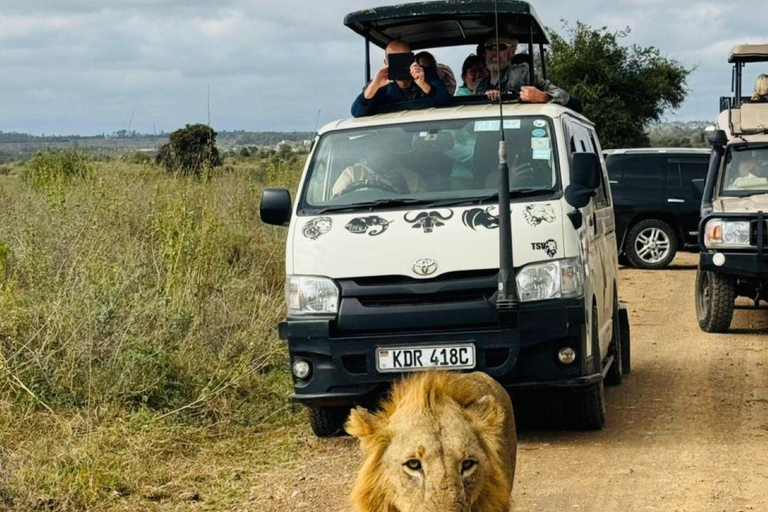 Nairobi National Park Evening and Sundowner Game Drive