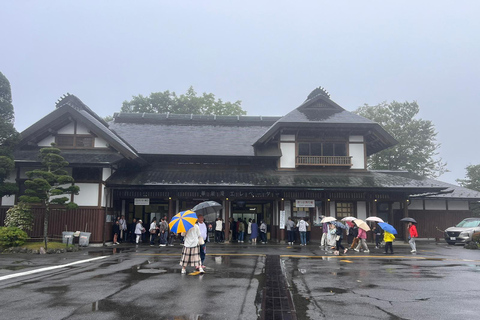 Excursión privada de un día a Nikko con conductor-guía en inglés