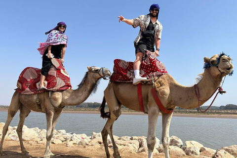 从阿加迪尔出发：苏斯河骆驼骑行