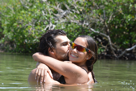 From Naples, FL: Marco Island Mangroves Kayak or Paddle Tour Easy Ride Pedal Kayak Tour