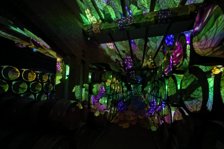 Desde Chisinau: visita a la antigua Orhei y a la bodega Chateau Vartely.Desde Chisinau: visita a la antigua Orhei y a la bodega Chateau Vartely