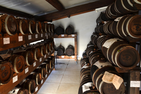 Modena: Balsamic Vinegar Tour and Tasting