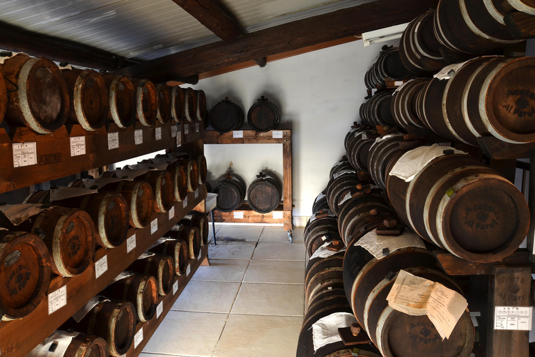 Modena: Balsamic Vinegar Tour and Tasting