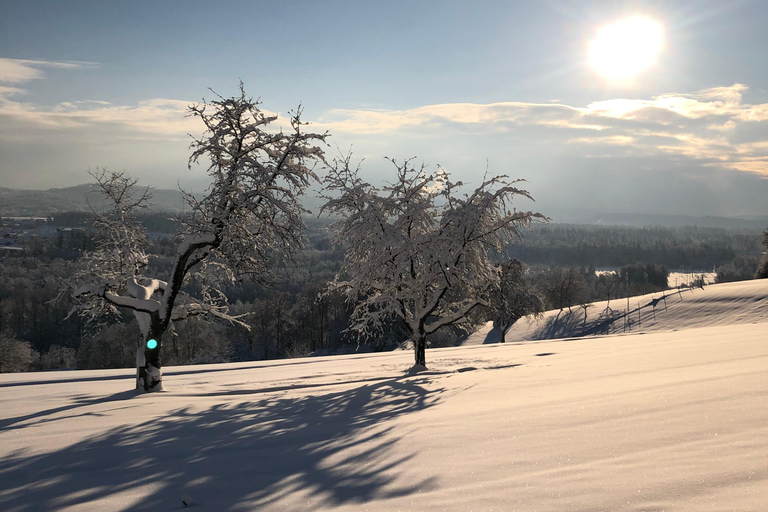 Swiss Highlights: Guided Zürich, Lucerne, Basel & Bern tour