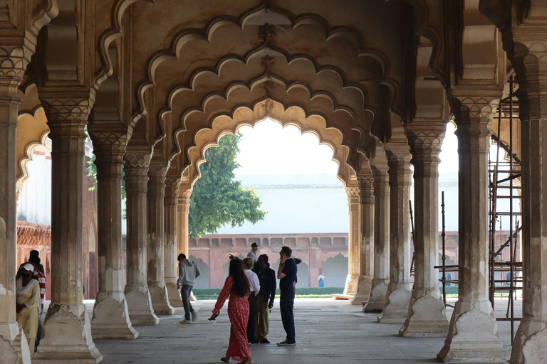 From Delhi: Same day Taj mahal Tour with Elephant SanctuaryTour without Entry Tickets and Lunch or Breakfast