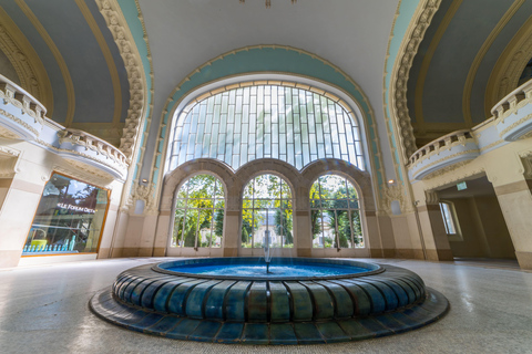 From Lyon: Vichy, City of Water Day Trip