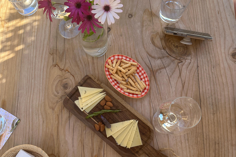 IBIZA: paseo a caballo + tour de cata de vino en bodega + recogidaIbiza: paseo a caballo + tour de cata de vino en bodega + recogida